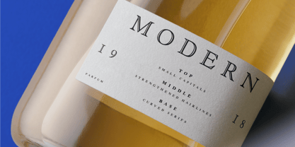 Goudy Modern Now Font Poster 6