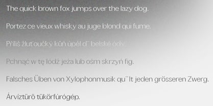 Tansei Font Poster 6