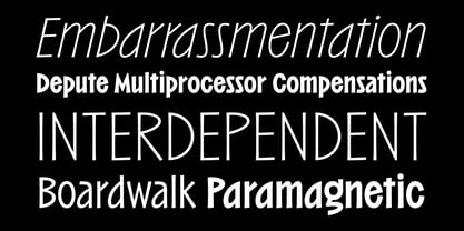 Barkins Font Poster 3