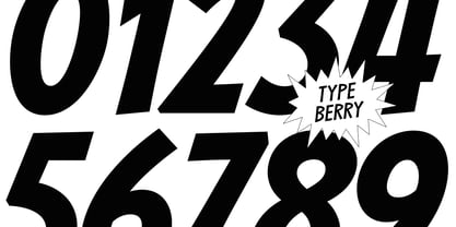 Barkins Font Poster 10