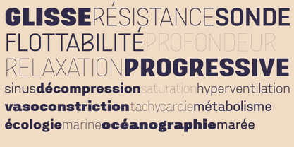 Aconit Variable Font Poster 4