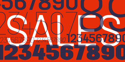 Aconit Variable Font Poster 8