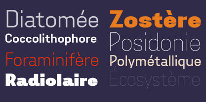 Aconit Variable Font Poster 7