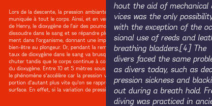 Aconit Variable Font Poster 6
