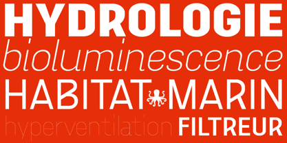 Aconit Variable Font Poster 3