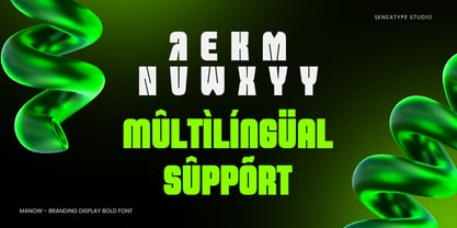 Manow Font Poster 12