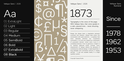 Velique Sans Font Poster 3