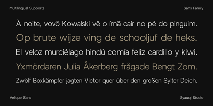 Velique Sans Font Poster 13