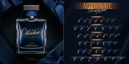 Tailyona Font Poster 7