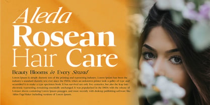 Canto Font Poster 6