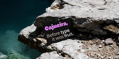 Cajueira Font Poster 11