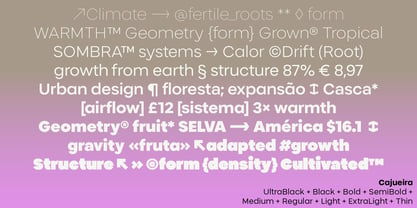 Cajueira Font Poster 15