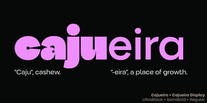Cajueira Font Poster 14