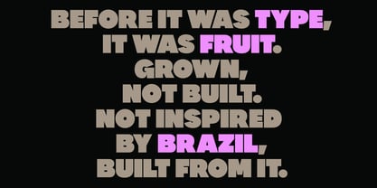 Cajueira Font Poster 13