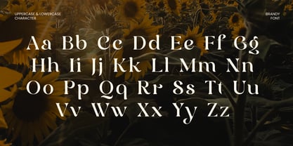 Clyker Font Poster 11