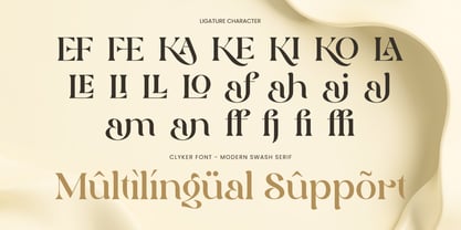 Clyker Font Poster 13