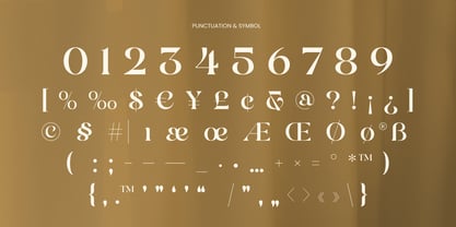 Clyker Font Poster 12