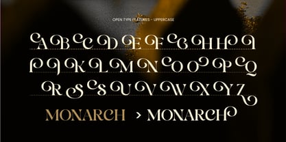 Clyker Font Poster 9