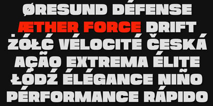 Gravex Massive Font Poster 12