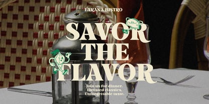 Avedoria Font Poster 4