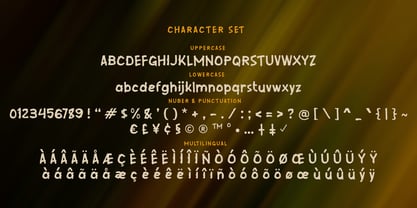 Sate Brush Font Poster 5