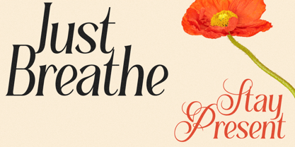 Seramonde Font Poster 4