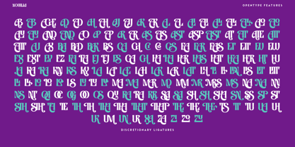 Nouilia Font Poster 10