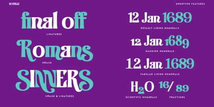Nouilia Font Poster 8