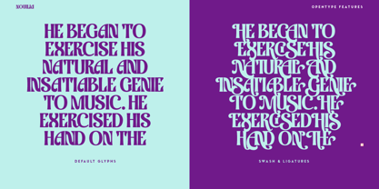 Nouilia Font Poster 11