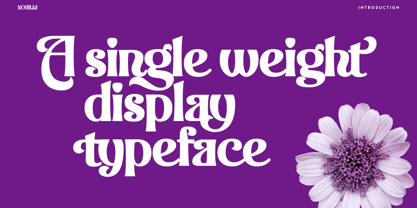 Nouilia Font Poster 4
