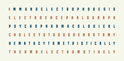 Raskolnikov Font Poster 15