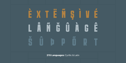 Raskolnikov Font Poster 6