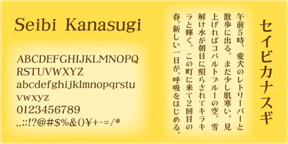Seibi Kanasugi Font Poster 2