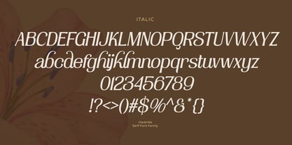 Havenite Font Poster 9