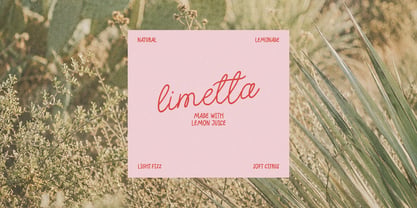Peachy Weekend Font Poster 6