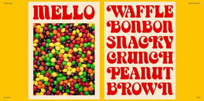 Bropie Font Poster 6