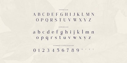 Roslane Font Poster 10