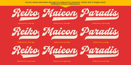Native Baseball Font Poster 9
