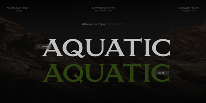 GC Volumn Font Poster 7