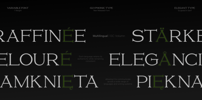 GC Volumn Font Poster 6
