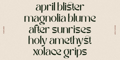 Erhofa Font Poster 3