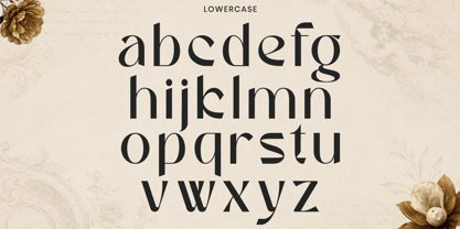 Erhofa Font Poster 9