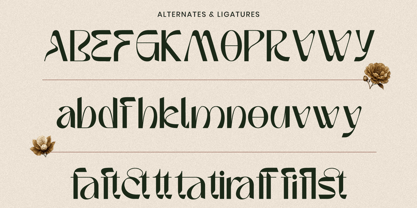 Erhofa Font Poster 10