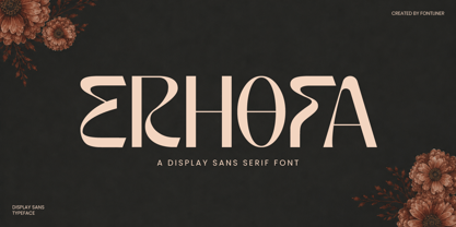 Erhofa Font Poster 1
