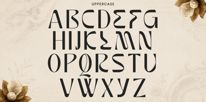 Erhofa Font Poster 8