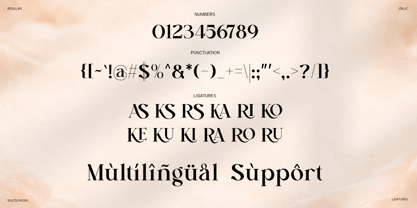 Cekona Font Poster 11