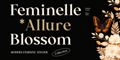 Cekona Font Poster 8