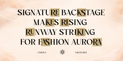 Cekona Font Poster 2