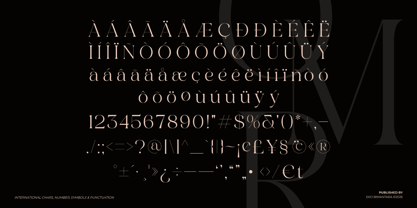 Austerlane Font Poster 11