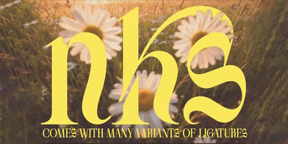 Soneburg Font Poster 2